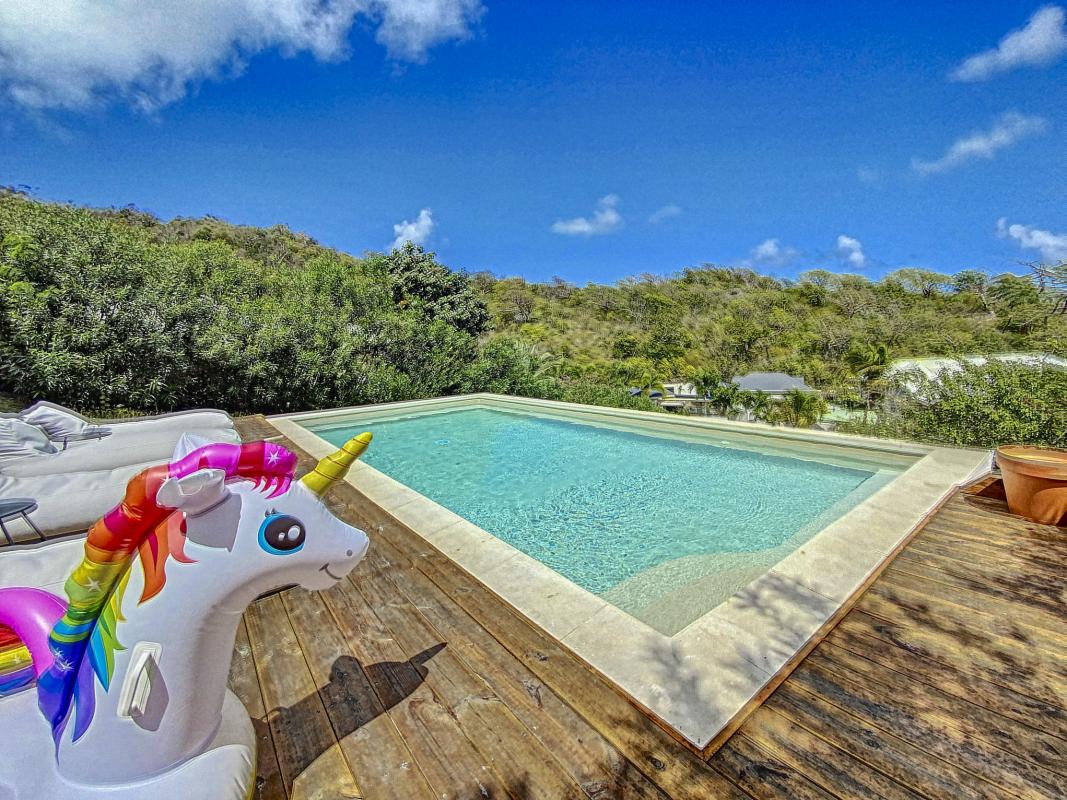 Saint Martin Baie Orientale villa __piscine-6